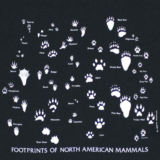 Liberty Graphics T-Shirts Foot Print フットプリント