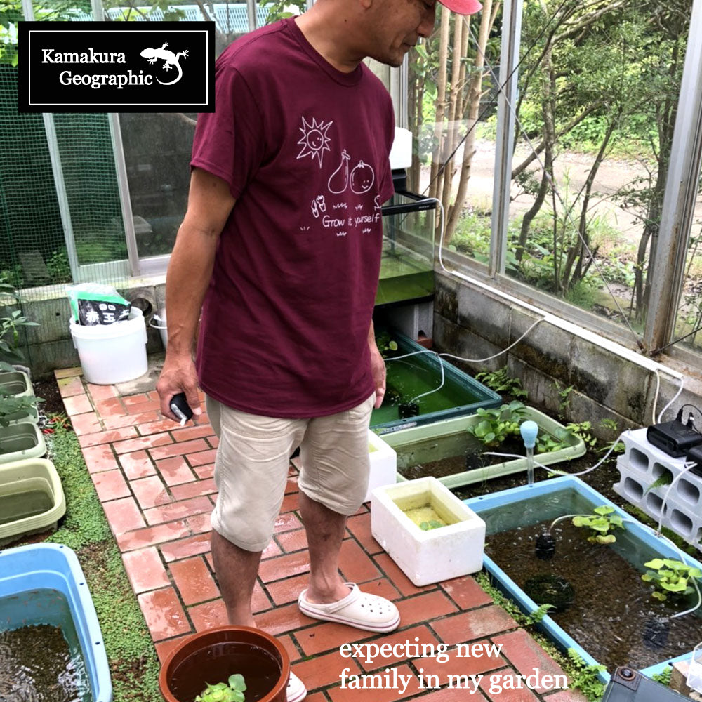 鎌T-Shirts グローイットユアーセルフ Grow it yourself YOYO