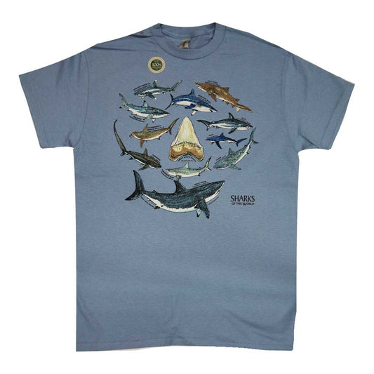 Liberty Graphics T-Shirts Shark & Tooth サメの歯