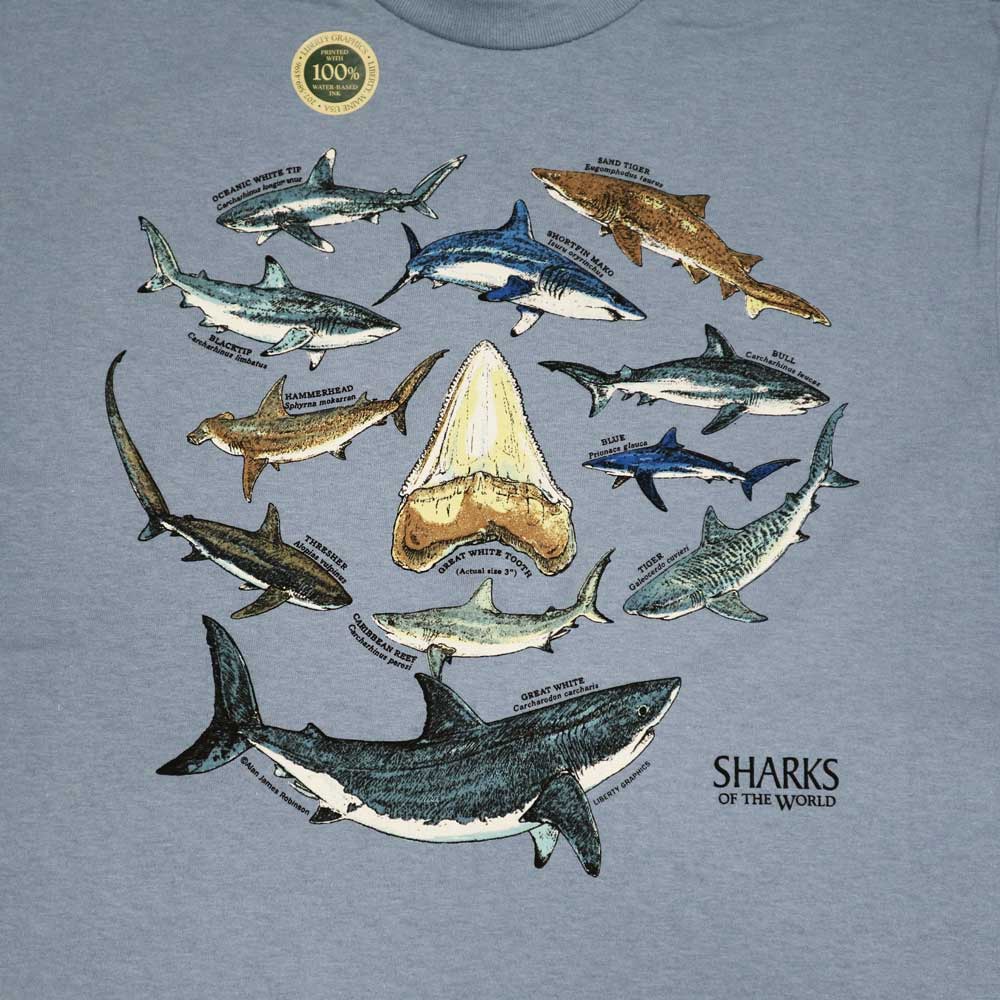 Liberty Graphics T-Shirts Shark & Tooth サメの歯