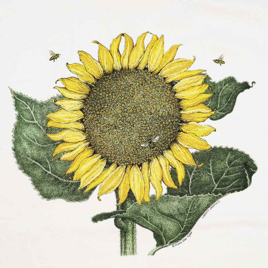 Liberty Graphics T-Shirts Sun Flower サンフラワー ひまわり