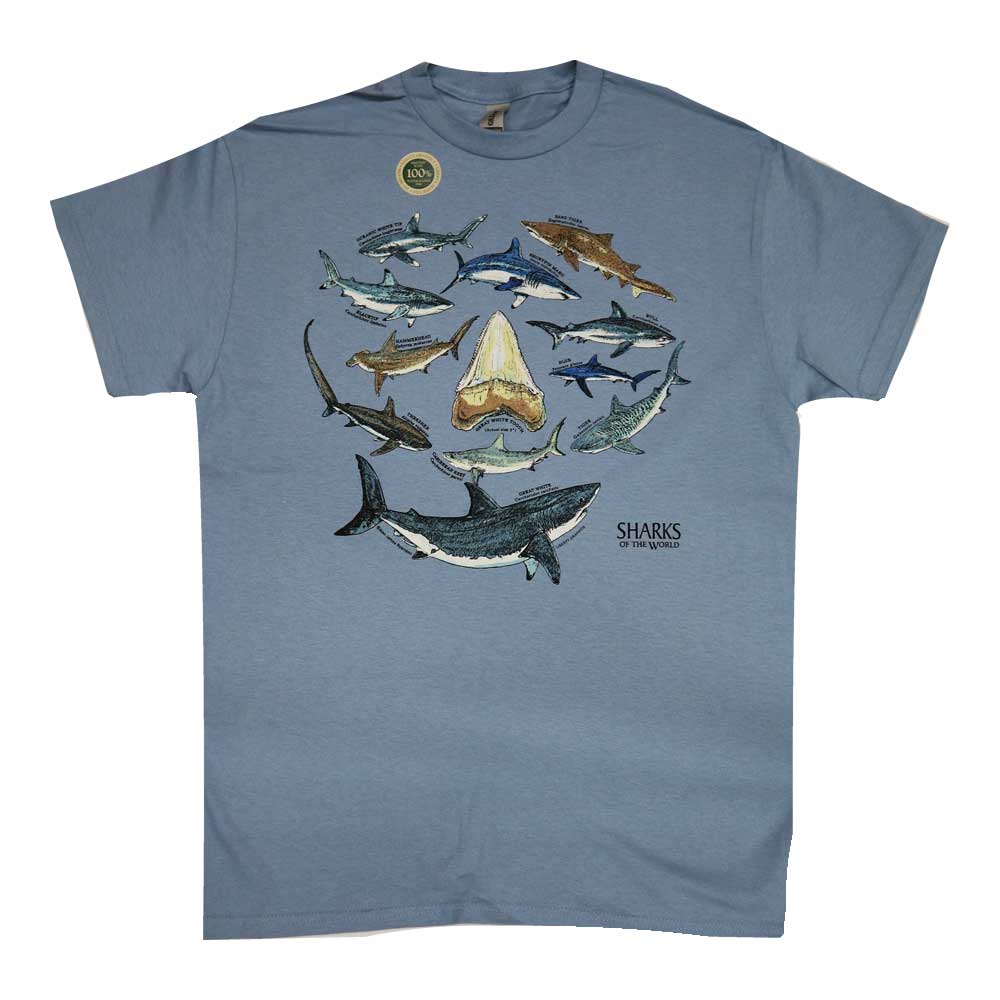 Liberty Graphics T-Shirts Shark & Tooth サメの歯