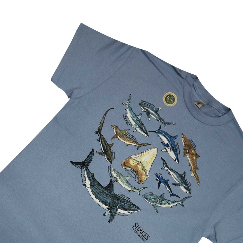 Liberty Graphics T-Shirts Shark & Tooth サメの歯